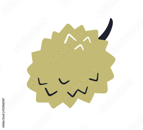 Kiwano, horned melon cucumber. Exotic tropical fruit with spiked skin. Fresh natural food, whole spiky cuke-a-saurus. Modern flat vector illustration isolated on white background