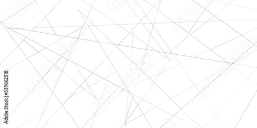 Abstract lines in black and white tone of many squares and rectangle shapes on white background. Metal grid isolated on the white background. nervures de feuilles mortes, fond rectangle and geometric	