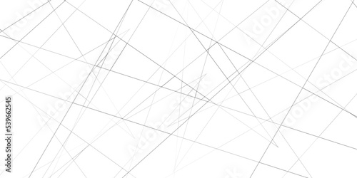 Abstract lines in black and white tone of many squares and rectangle shapes on white background. Metal grid isolated on the white background. nervures de feuilles mortes, fond rectangle and geometric	