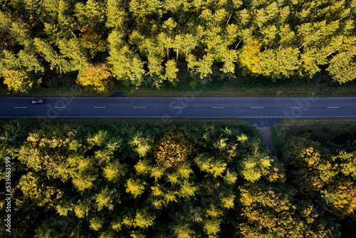 horizontal photo of road with tall trees photo