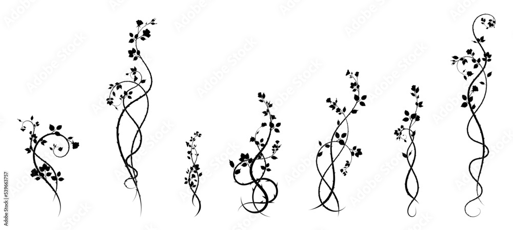 new selection ornament roses weaving plant for