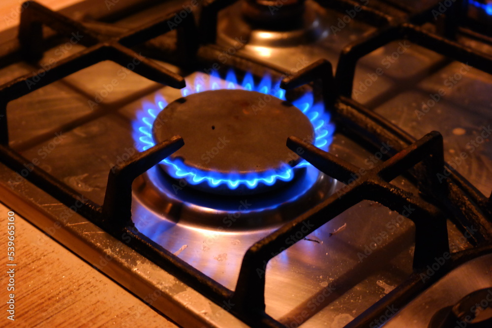 gas burns. gas hob. The gas turns on, a blue flame appears. Gas stove