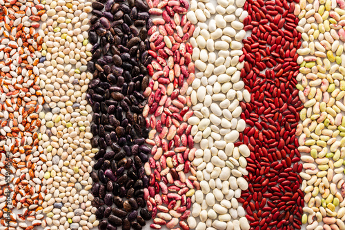 Background from different types of beans in rows, economically important legume, top view