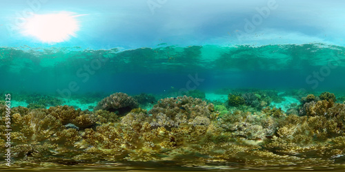 Fototapeta Naklejka Na Ścianę i Meble -  Scene reef. Marine life sea world. Underwater fish reef marine. Philippines. Virtual Reality 360.