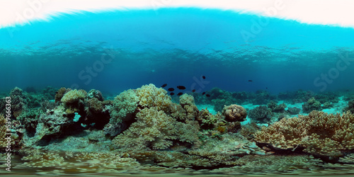 Beautiful underwater landscape with tropical fish and corals. Philippines. 360 panorama VR