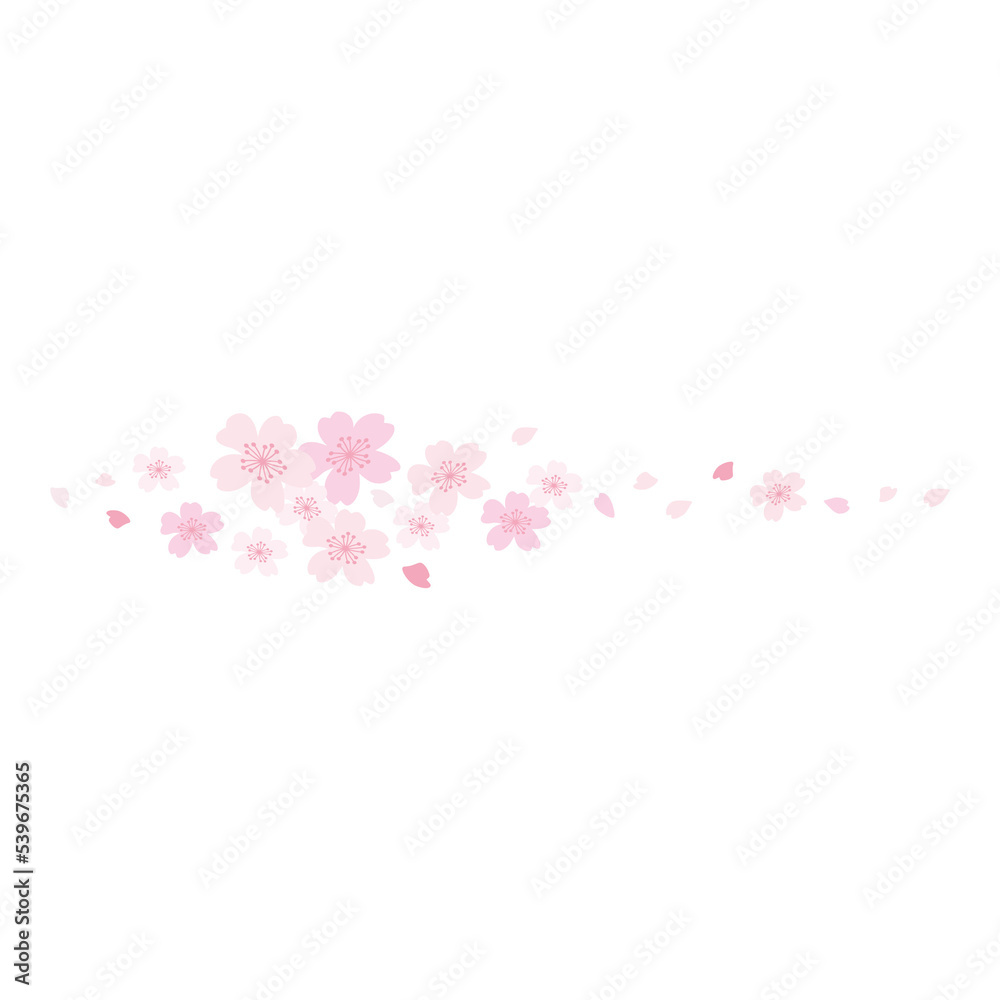 cherry blossom petals border illustration