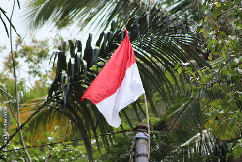 indonesia photo