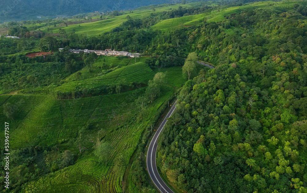 Aerial view of asphalt road, top view panorama shot from drone. The highway road among tea plantations in the mountains. Trip by car, gloomy weather, wet asphalt, green fields. Aerial view of highway 