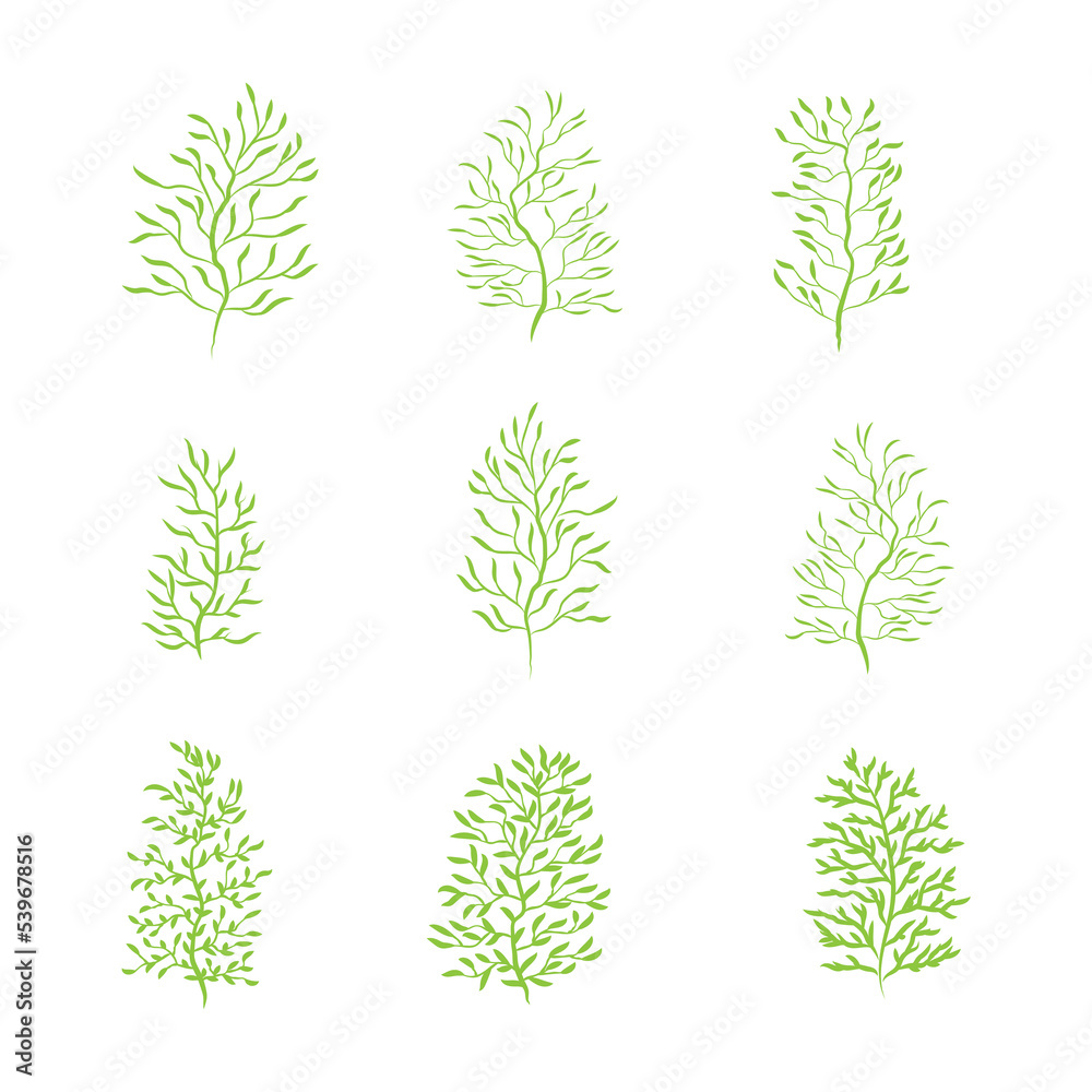 Green leafy plant with decorative art isolated vector illustration. Green leafy plant with decorative art isolated vector illustration.