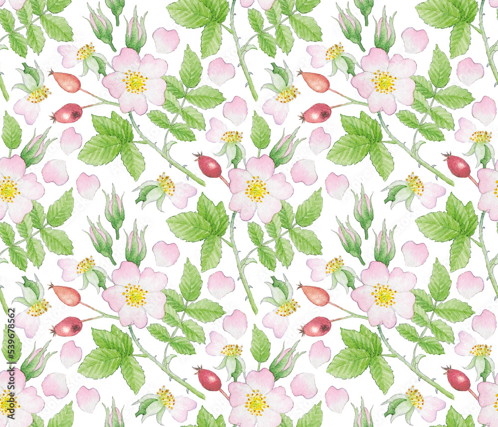Wild roses - seamless repeatable Wild roses - seamless repeatable
