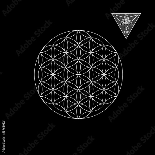 Sacred geometry. Vector Illustration isolated on white. Sacred geometry. White lines on a black background