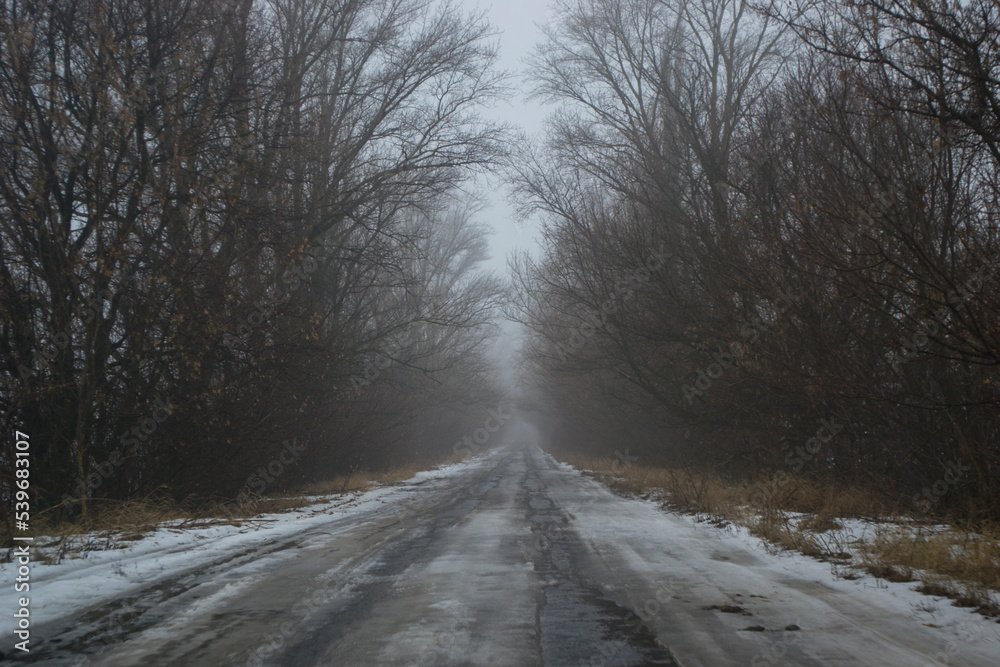 Obraz premium Autumn landscape, road going into the distance, foggy boring morning