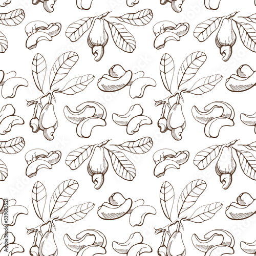 Vector seamless pattern with cashew on a white background. Vegan food illustration.