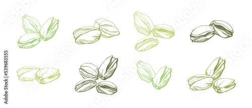 Set of  pistachios on white background. Hand drawn vector illustration.