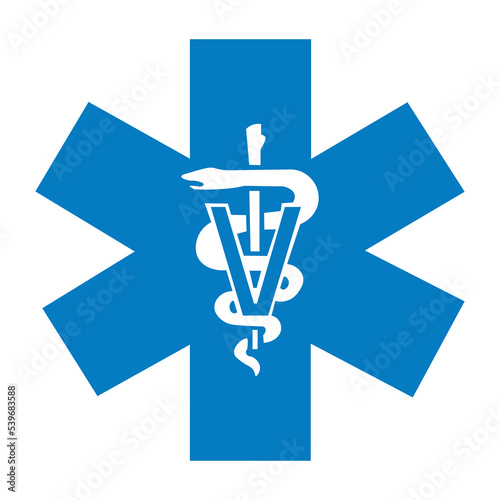 Veterinary medicine caduceus symbol snake with stick. Blue emergency symbol Star of Life. Pet help. Logo. Isolated on white background. Vector illustration.