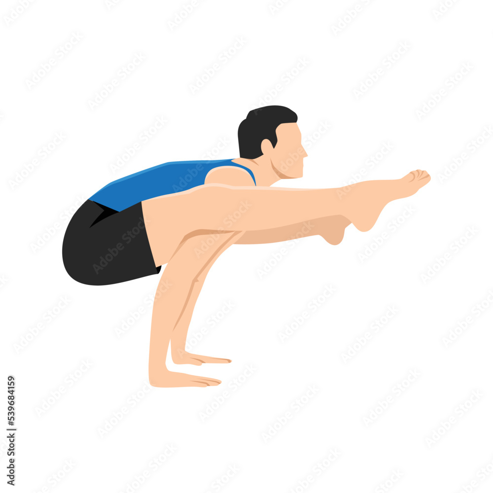Man doing Firefly Pose Variation. Practice Tittibhasana Variation. Flat vector illustration isolated on white background Man doing Firefly Pose Variation. Practice Tittibhasana Variation. Flat vector illustration isolated on white background