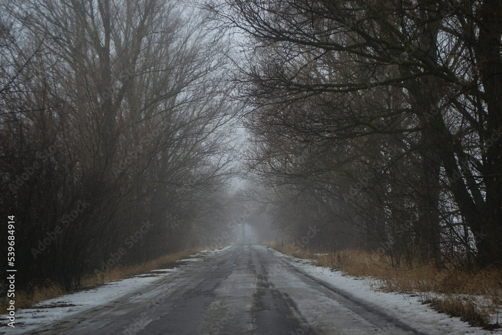 Autumn landscape, road going into the distance, foggy boring morning