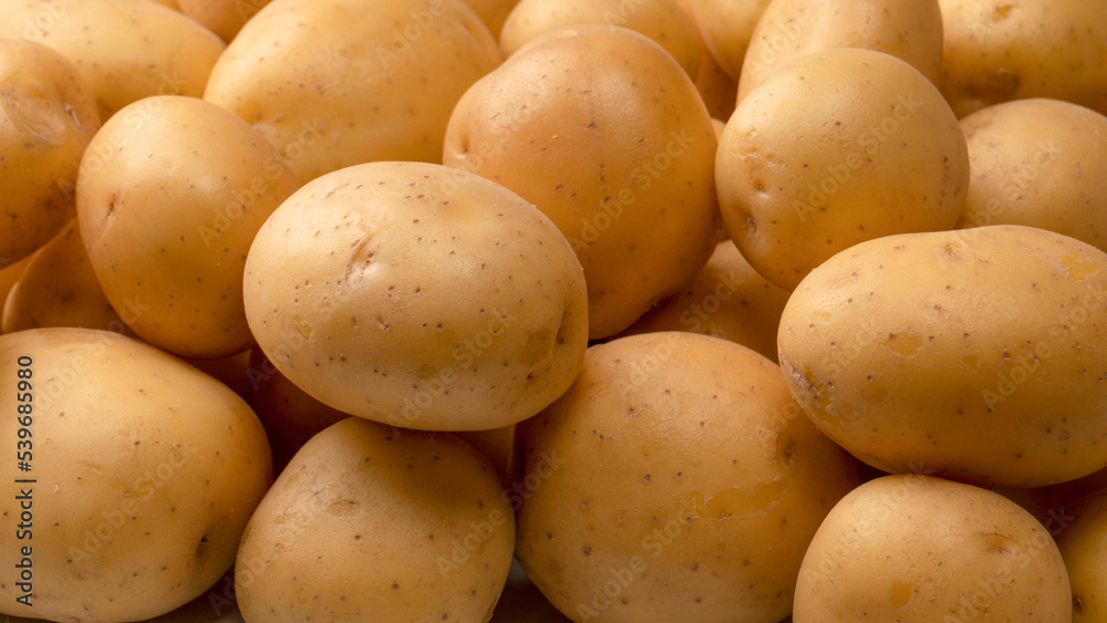 A group of fresh tasty potato as background. A group of fresh tasty potato as background.
