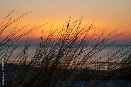 Sonnenuntergang Dünengras 1