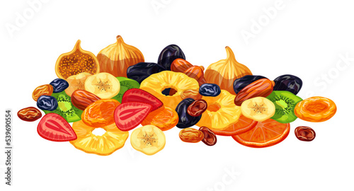 Vector illustration of different tasty dried fruits isolated on a white background. Group of dried fruits in flat and cartoon styles. Healthy food.