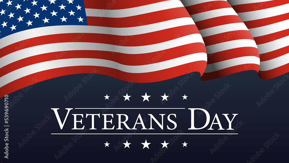Veterans Day USA Veterans Day USA