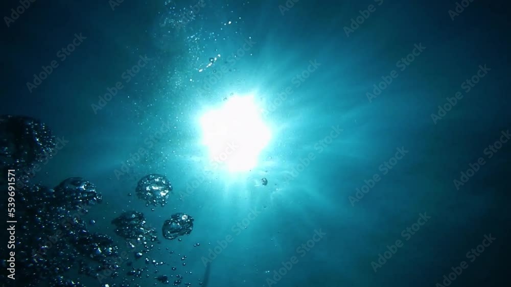 bubble under the sea 1_1