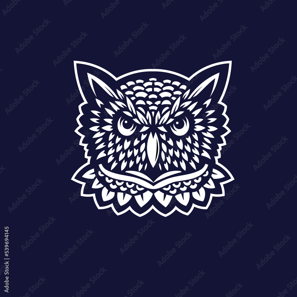 Obraz premium abstract owl head mascot vector