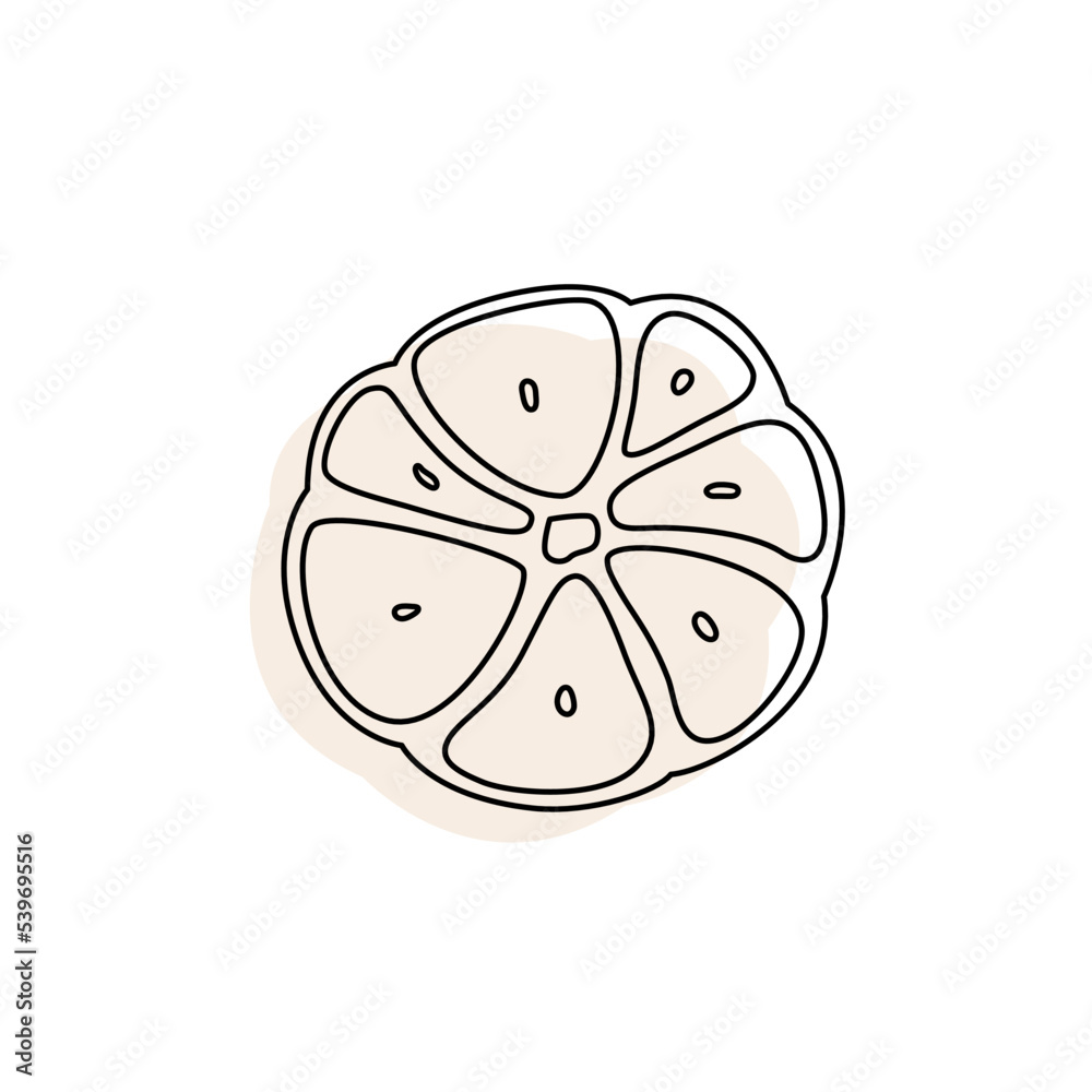 Doodle outline cut slice garlic with spot. Vector hand-drawn illustration for packing isolated on transparent background Doodle outline cut slice garlic with spot. Vector hand-drawn illustration for packing isolated on transparent background