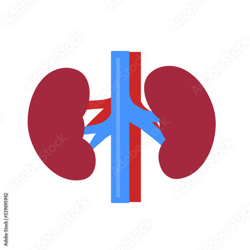 Art Illustration Design Concept Anatomy Body Human Symbol Icon Logo Realistic Of Spleen