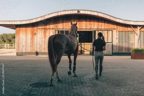 back view of professional female equestrian at modern stables with her horse