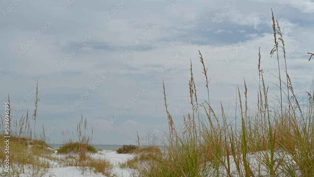 dunes with sea oats at the national seashore since Clear drive sky, white sand, clear emerald water Pensacola to Navarre beach dunes with sea oats at the national seashore since Clear drive sky, white sand, clear emerald water Pensacola to Navarre beach