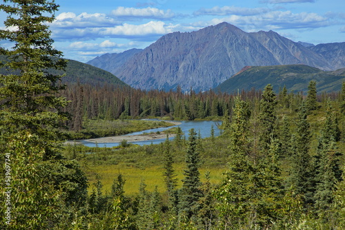 Landscape at Chulitna River in Denali National Park and Preserve,Alaska,United States,North America 