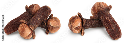 Dry spice cloves isolated on white background and full depth of field.