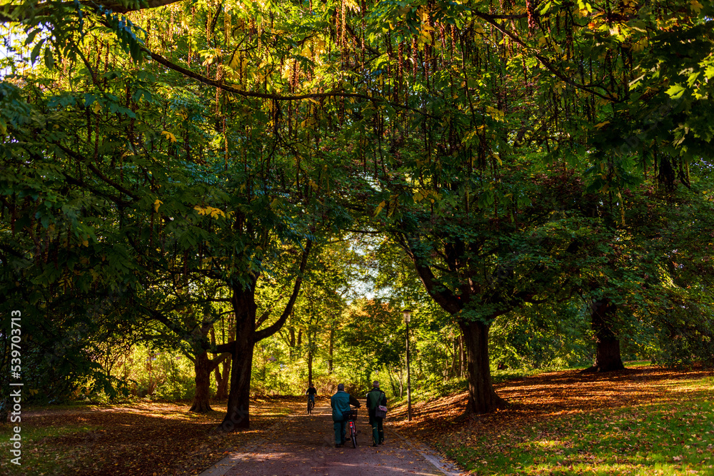 Naklejka premium Spaziergänger im herbstlichen Sonnenlicht im Werftpark in Kiel