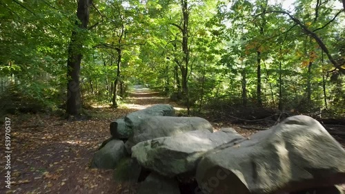 Dolmens in Drenthe in The Netherlands from a drone perspective while a leave leads you into the shot. photo