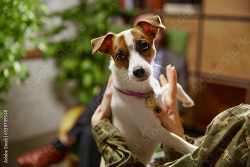 Closeup of little dog sitting with military man who meeting with psychologist at therapy session in office, indoors. Help, support, ptsd, health and harmony concept