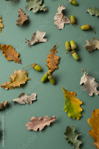 Autumn leaves concept nature background