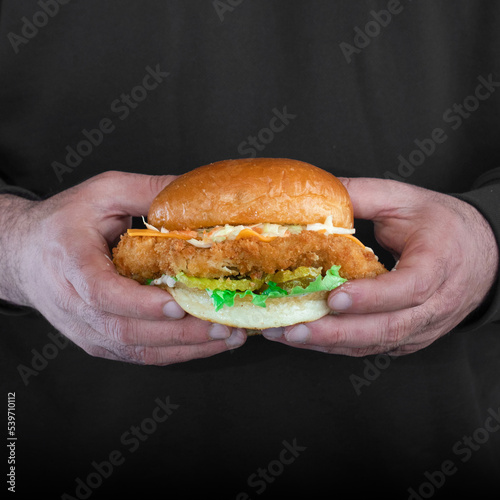 jucy Cheese burger / hamburger / black background / food / bun / chicken burger / 