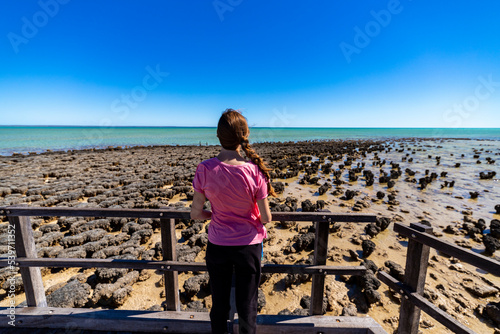 woman looks at stromatolites near shark bay in western australia, female archaeologist at work, viewing prehistoric fossils in australia photo