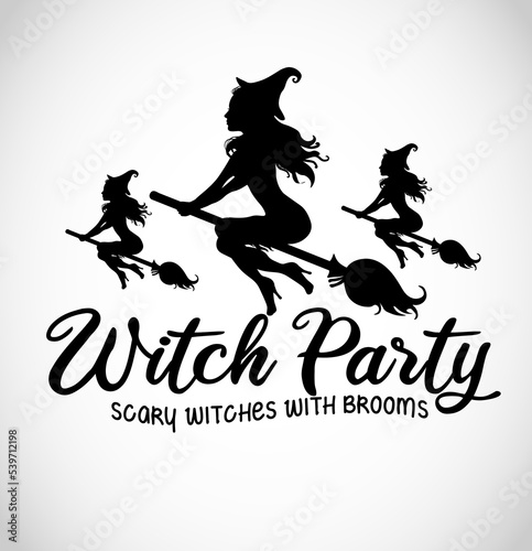 Beautiful attractive witches flying on a broomstick vector illustration for a Witch Party