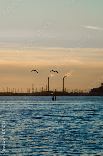 Le ciminiere del petrolchimico di Marghera viste da Venezia al tramonto mentre nel cielo passano due gabbiani © Andrea Vismara