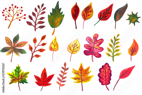 Set of multicolored watercolor autumn leaves. Hand drawn illustration.