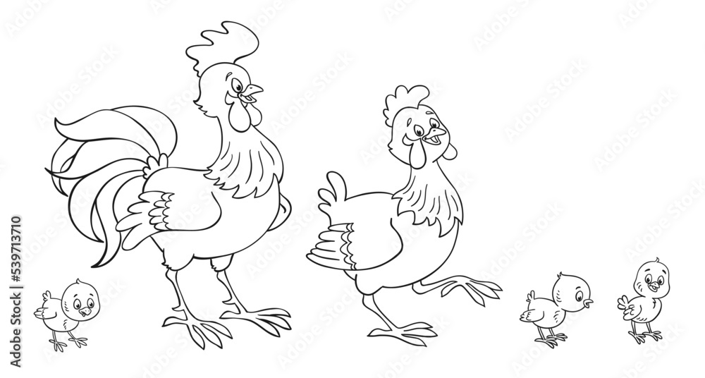 Chicken family. Cockerel, hen and three funny chickens. In cartoon style.  Black and white picture for coloring book. Isolated on white background. Vector illustration.