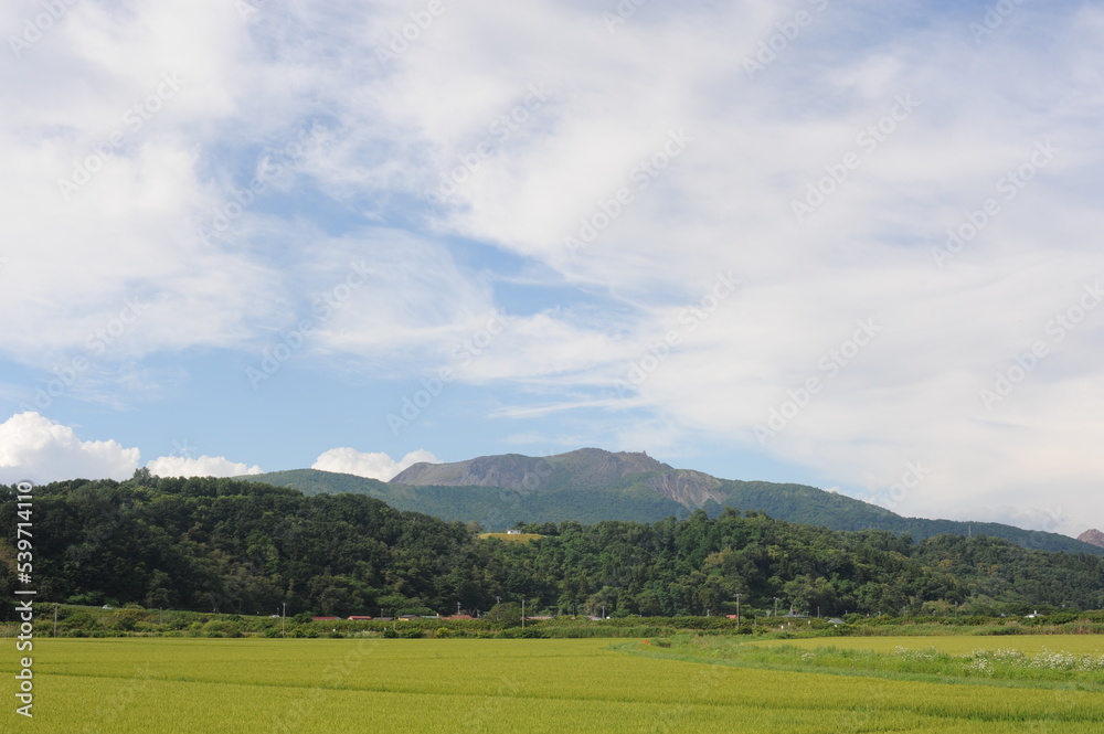 Rural landscape with rice fields and green mountains on a sunny day with blue sky in Hokkaido island, northern Japan, Asia