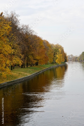 autumn in the park