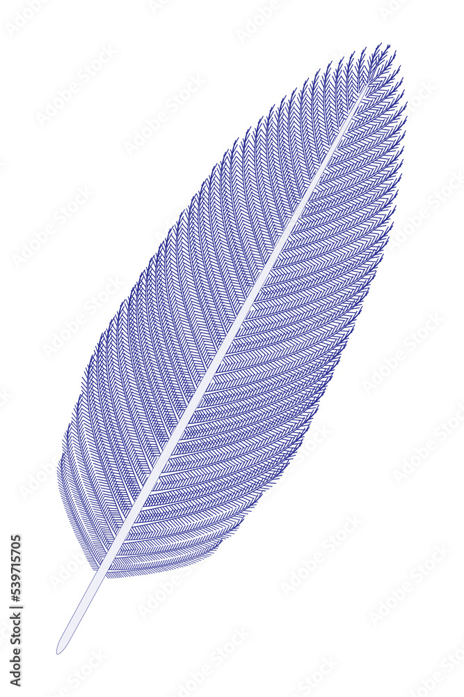 Bird Feather (blue). Bird Feather (blue).