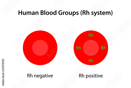 Human blood groups, Rh system	