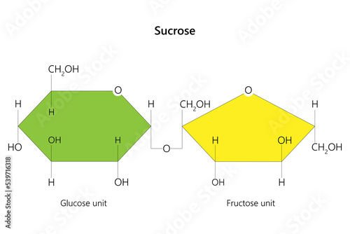 Sucrose, a disaccharide, is a sugar composed of glucose and fructose subunits.	 photo