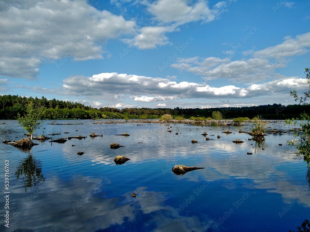 Naklejka premium landscape with lake and clouds