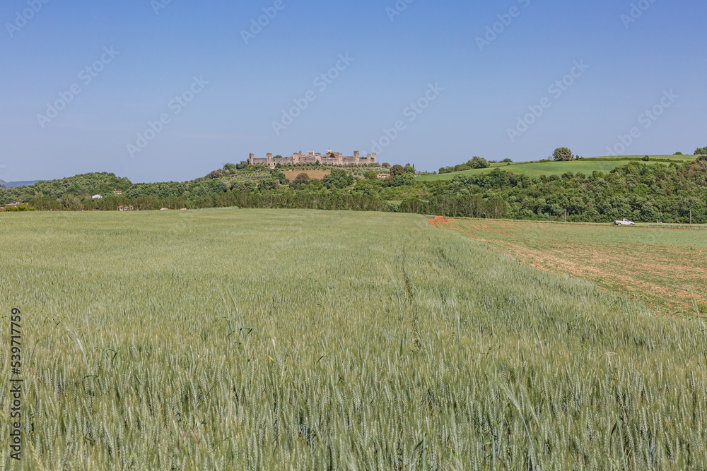 Beautiful view of Monteriggioni, Tuscany medieval town on the hill.